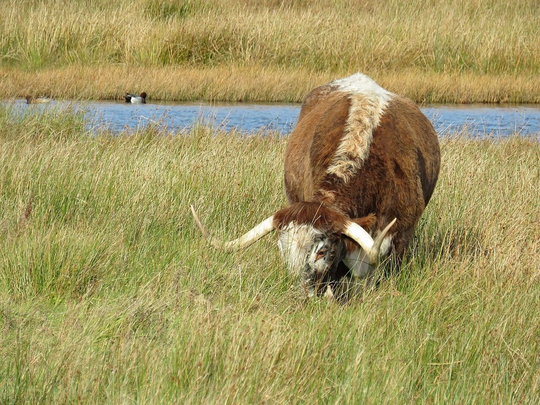 Photograph accompanying 5 Ideas for Engaging Kids on the Trail · National Parks Conservation Association