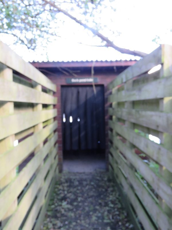 Photograph accompanying Why Can't Visitors Walk In to “Open-Air” Parks?
