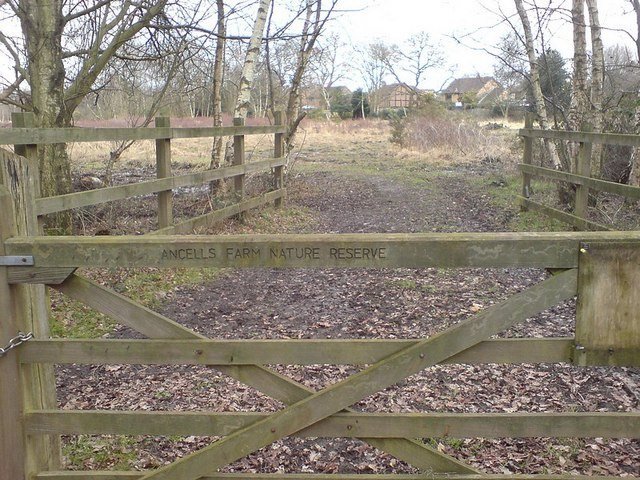 Photograph accompanying Abbey Green Park